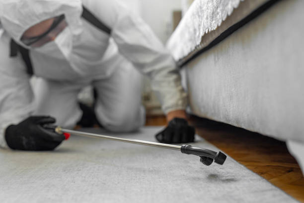 Professional Bed Bug Control technician working in Fremont, NC