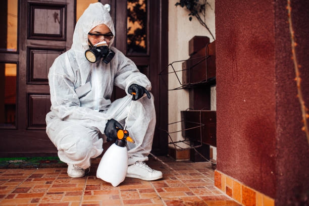 Reliable Bed Bug Control contractor in Fremont, NC by Nex Pest Control